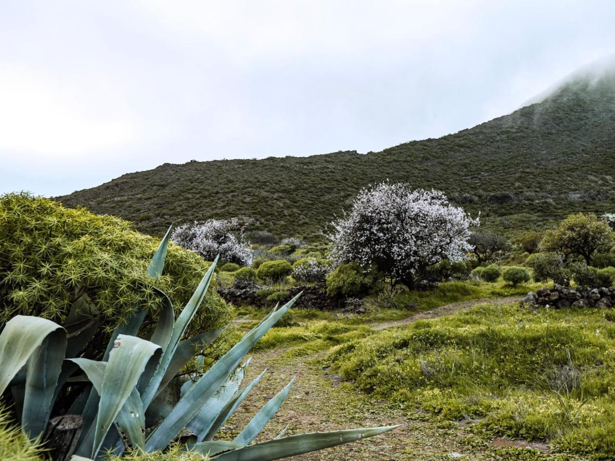 Luxury Villa In Nature With Swimming Pool Tenerife, Santiago Del Teide, With Sea And Mountain Views El Retamar Екстериор снимка